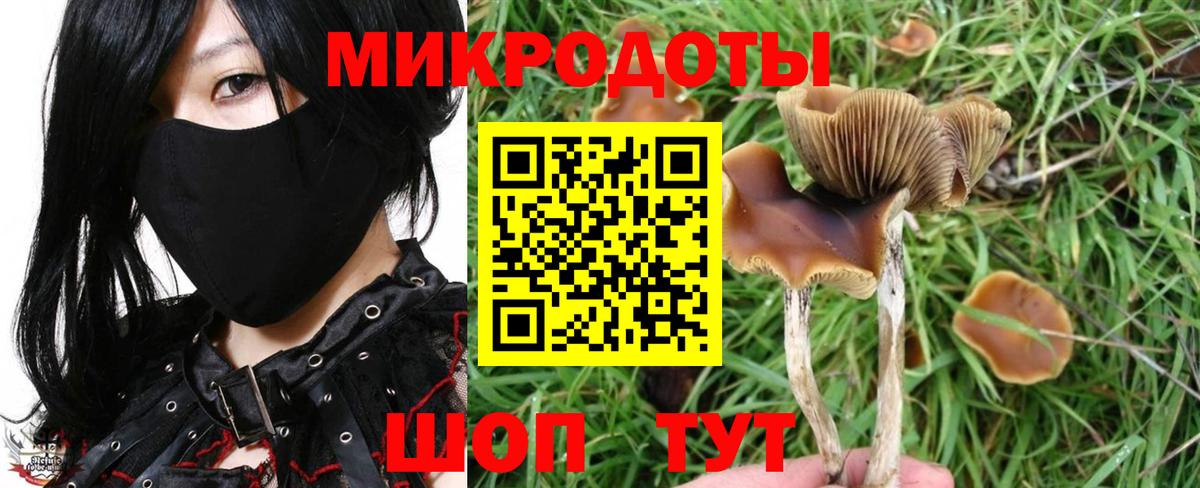 Ставрополь  Галлюциногенные грибы Psilocybe  Вход с VPN 