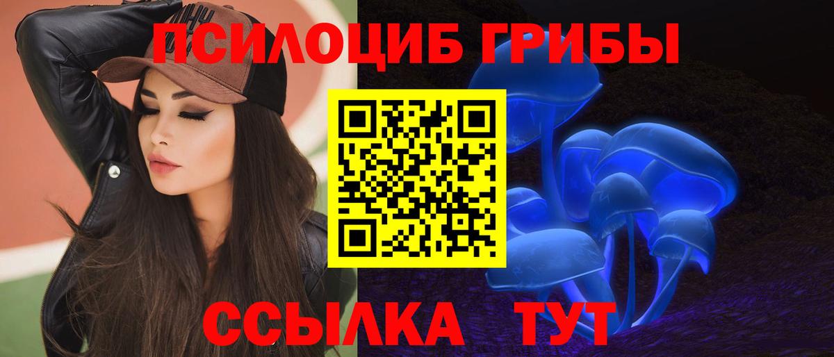 Псилоцибиновые грибы Psilocybine cubensis Ставрополь